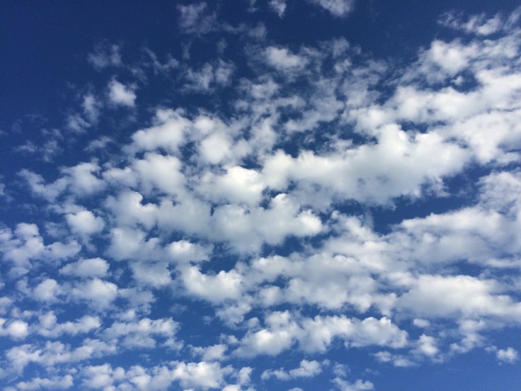 Dream a little dream blog photo karencoaches